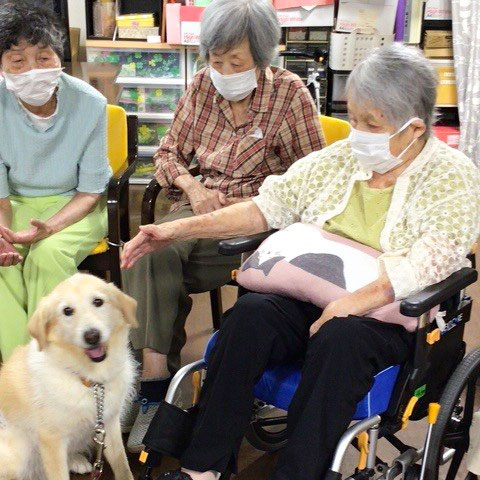 アイコン